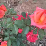 Vila Casa Regina