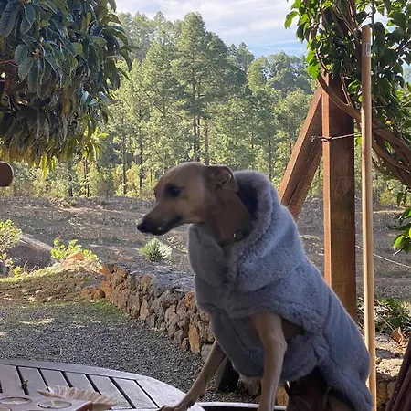 Casa Regina Вилла